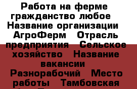 Работа на ферме, гражданство любое. › Название организации ­ АгроФерм › Отрасль предприятия ­ Сельское хозяйство › Название вакансии ­ Разнорабочий › Место работы ­ Тамбовская обл., Петровский р-он, с. Шехмань › Подчинение ­ Фермеру › Минимальный оклад ­ 25 000 › Максимальный оклад ­ 35 000 › Возраст от ­ 18 › Возраст до ­ 50 - Московская обл. Работа » Вакансии   